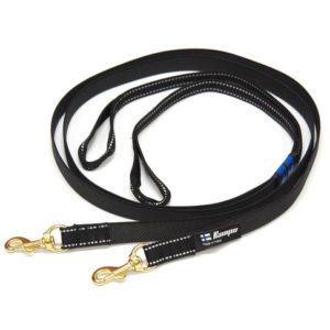 Double dogsled leash