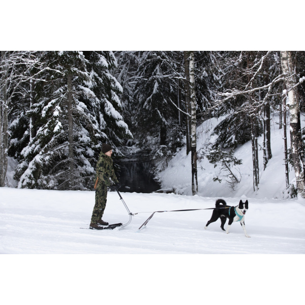 Dogsled Adventure Esla scaled